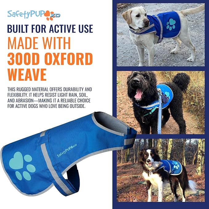 Dog Reflective Vest – Hi-Vis Fluorescent Visibility That Helps to Safeguard Your Pet On/Off Leash in Urban & Rural Areas (Blue, X-Small)-PawvioPets