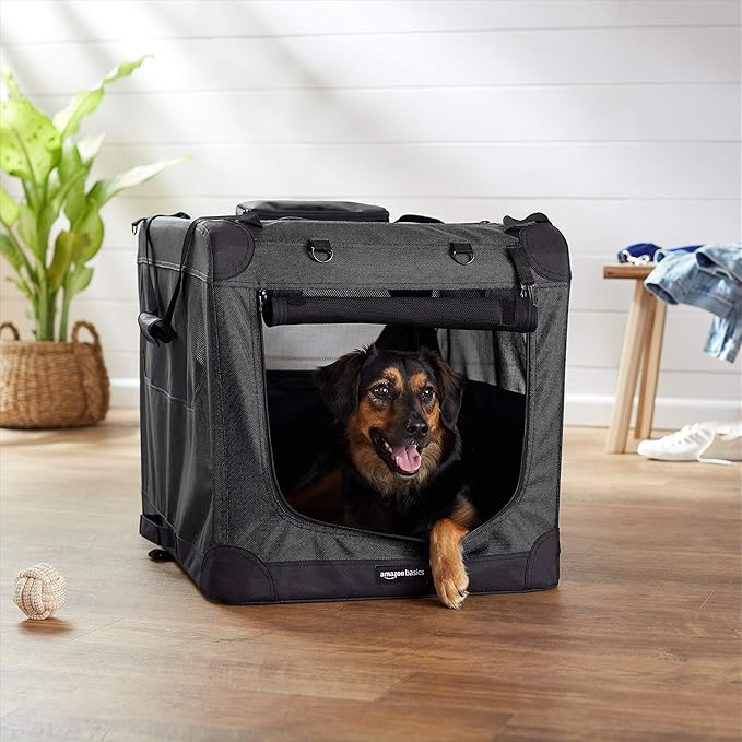 Amazon Basics Folding Portable Soft Pet Dog Crate Carrier Kennel, 30 x 21 x 21 inches, Black-PawvioPets