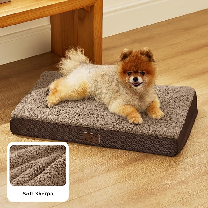 Bedsure Dog Bed for Small Dogs - Orthopedic Flat Puppy Beds with Removable Washable Cover, Egg Crate Foam Pet Mat, Suitable for Pet Up to 20 lbs-PawvioPets
