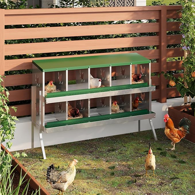 10 Hole Chicken Nesting Box with Roll Out Egg Tray, Rustproof & Ventilated Chicken Laying Boxes for Hens, Chickens, Ducks | Easy-Clean Poultry Coop Accessories, Green with Stand-PawvioPets