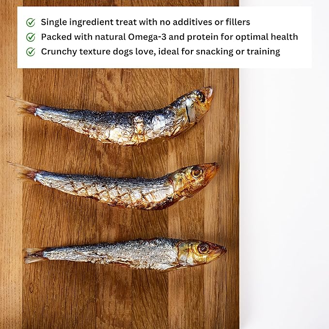 ALFIE'S TREATOS Sardines for Dogs & Cats (10.6 oz, 4x2.65 oz), Bulk Bundle, Air-Dried Fish Dog Treats, Omega-3 Food Topper, Single Ingredient, Australian Wild-Caught, Freeze-Dried Alternative-PawvioPets