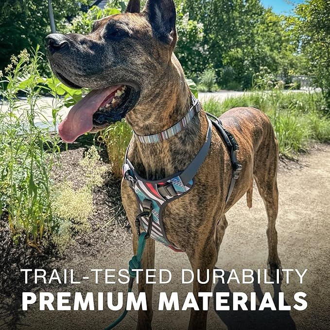Embark Adventure Dog Harness, Reflective Trim No Pull Dog Harness Medium Sized Dogs - Military Grade Nylon, Front Clip with Gel Lined Handle.-PawvioPets