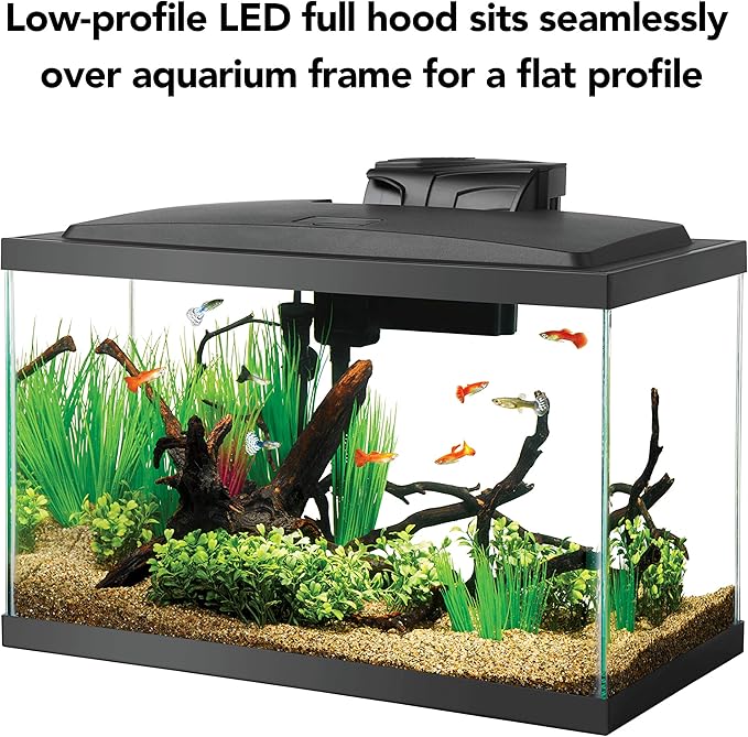Aqueon Aquarium Fish Tank Starter Kit with LED Lighting 10 Gallon Fish Tank-PawvioPets