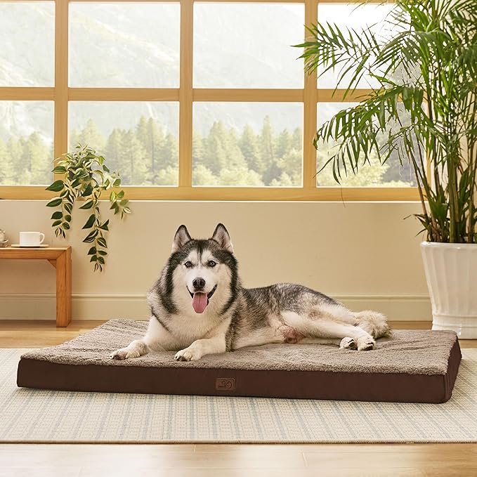 Bedsure XXL Dog Bed for Large Dogs - Orthopedic Flat Giant Pet Beds with Removable Washable Cover, Jumbo Egg Crate Foam Mat, Suitable for Pet Up to 150 lbs-PawvioPets