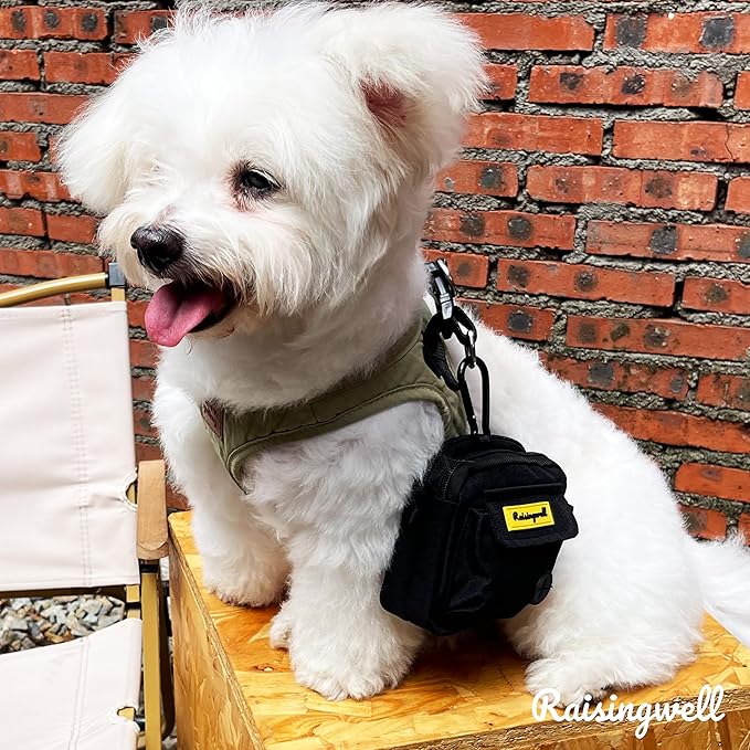 Dog Treat Pouch for Pet Walking and Training with Clicker, Poop Bags, and Three Bags Design Small Fanny Zipper Pack Holder for Puppy Snack Dispenser Kit for Leash and Outdoor Use (Black)-PawvioPets