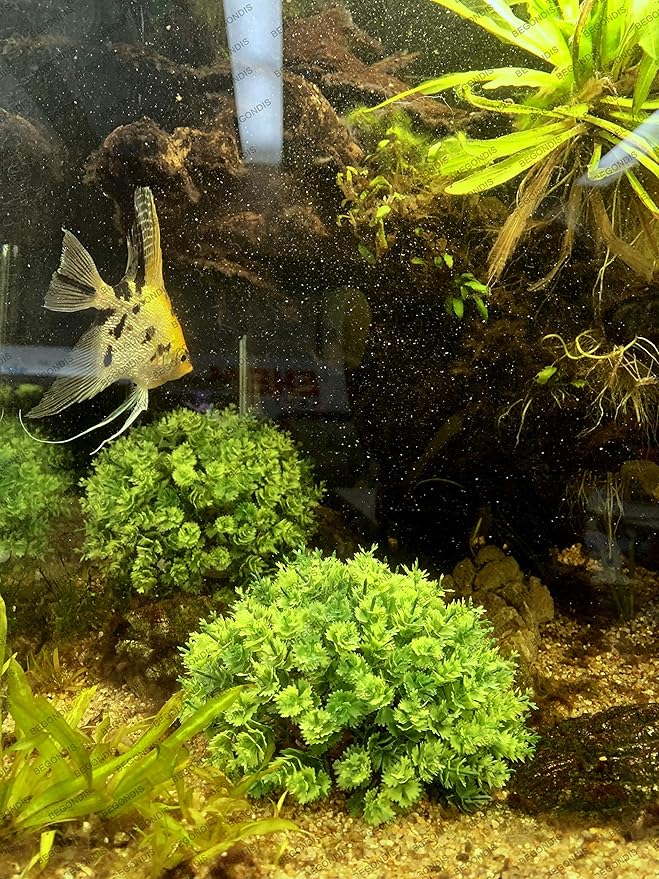 BEGONDIS 2Pcs Aquarium Decorations Fish Tank Artificial Green Water Plants Made of Soft Plastic-PawvioPets