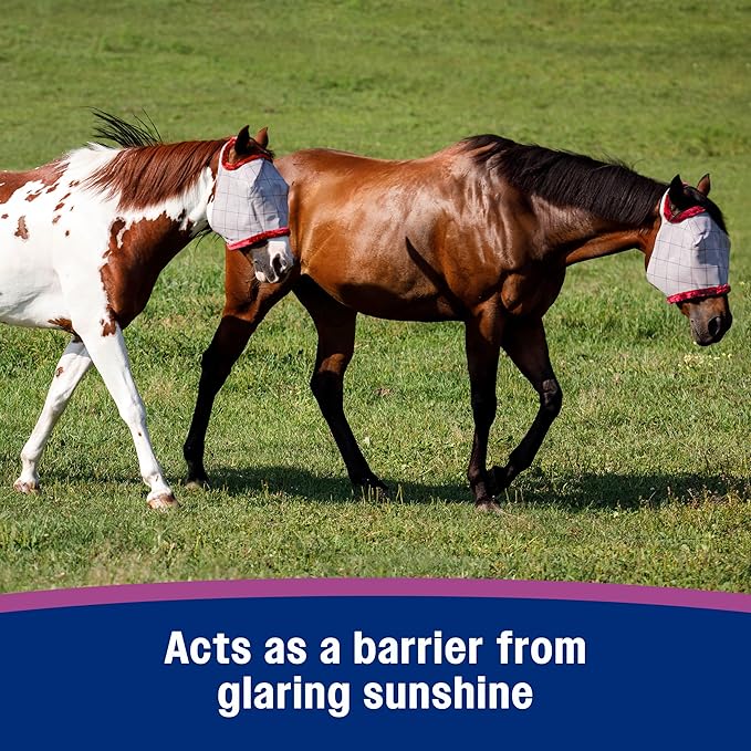 Farnam SuperMask II horse fly mask without ears, extended coverage, protects eyes from insects and debris, adjustable throat latch, Yearling size-PawvioPets