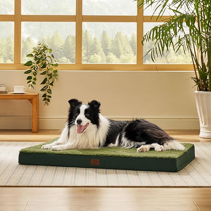 Bedsure Dog Beds Large Sized Dog - Orthopedic Flat Pet Beds with Removable Washable Cover, Egg Crate Foam Puppy Mat, Suitable for Pet Up to 65 lbs-PawvioPets