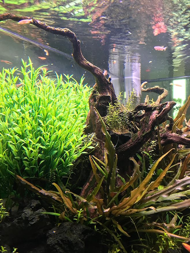 BEGONDIS Aquarium Decorations Fish Tank Artificial Green Water Plants Made of Soft Plastic-PawvioPets