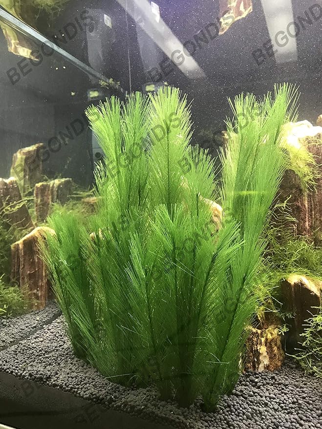 BEGONDIS Aquarium Decorations 3Pcs Fish Tank Artificial Green Water Plants Made of Silk Fabrics Plastic-PawvioPets