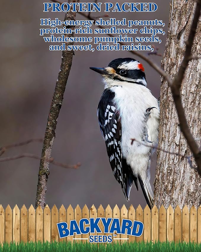 CountryMax Backyard Seeds Woodpecker No Waste Bird Seed Mix – 5 lb Bag | Shelled Peanuts, Sunflower Chips, Tree Nuts | Attracts Woodpeckers, Nuthatches, Jays-PawvioPets