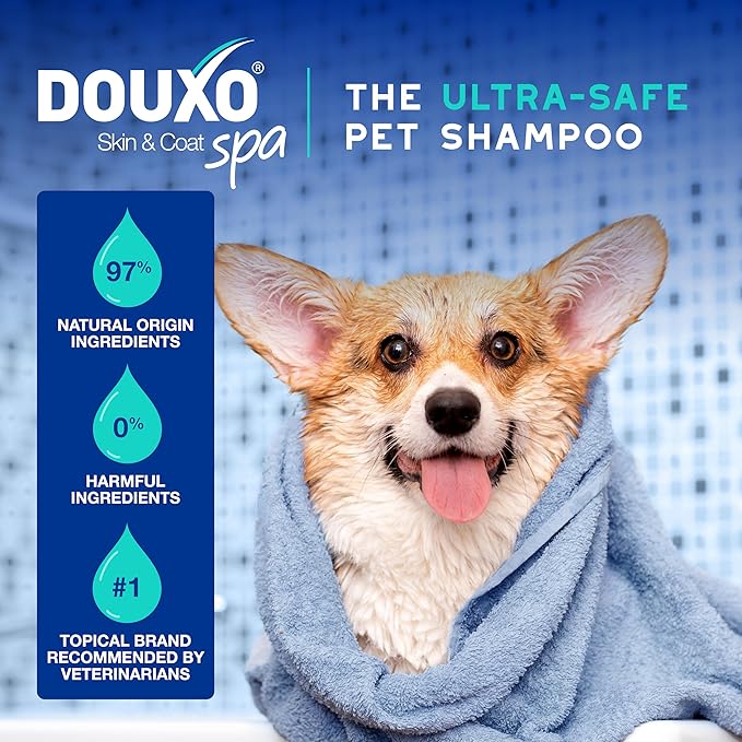 DOUXO® Skin & Coat SPA - Ultra-Safe Odor Control Dog Shampoo for Smelly Dogs, 16 fl oz, Cleans and Hydrates The Skin, Removes Odor, Leaves The Coat Soft and Smelling Great, Skin-Friendly Formula-PawvioPets