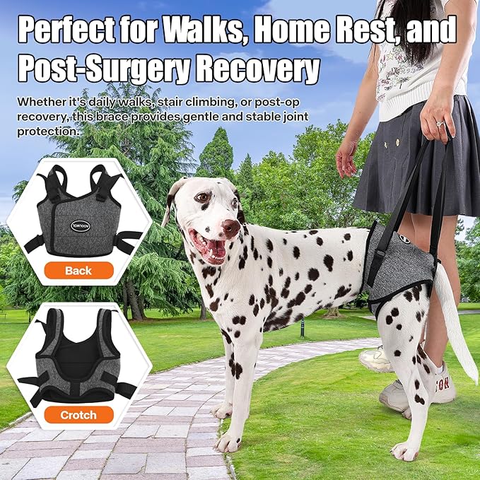 Dog Sling for Medium Large Dog Rear Leg, Lift Harness Provide Support with Muscle Atrophy and Joint Problems for Elderly Injured Arthritic Pet, Dog Weak Rear Legs Provides Rehabilitation Aid-PawvioPets