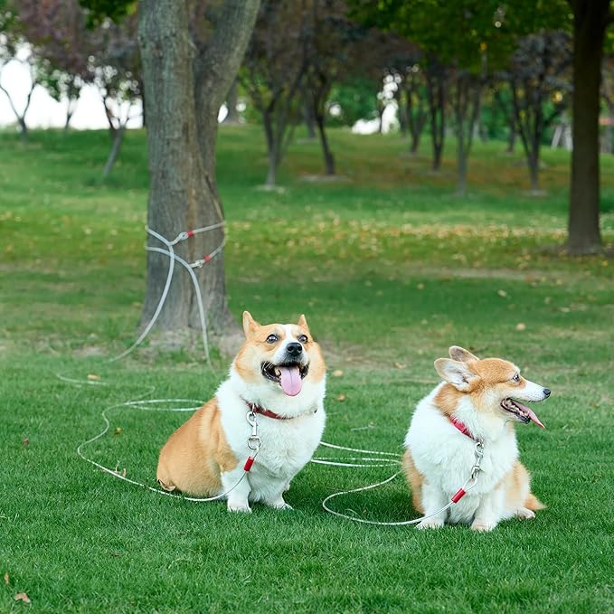 Amazon Basics Tie-Out Cable for Dogs up to 90 lbs, 25 feet, White-PawvioPets