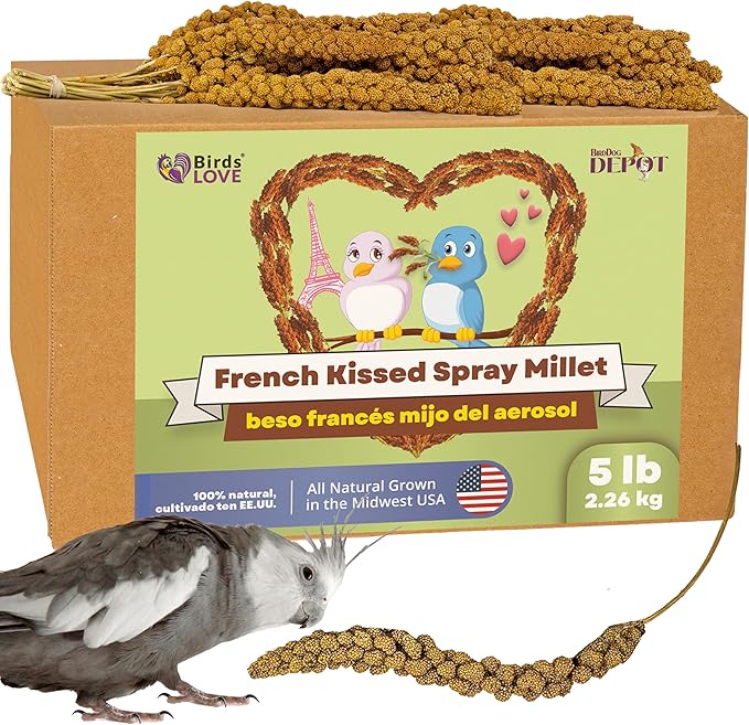 Birds LOVE French Kissed Spray Millet for Birds - Parakeets, Cockatiels, Lovebirds, Finches, Budgies, Canaries, Cockatoos - Natural & Healthy Bird Millet - Parakeet Food & Treats for All Parrots 5lbs-PawvioPets