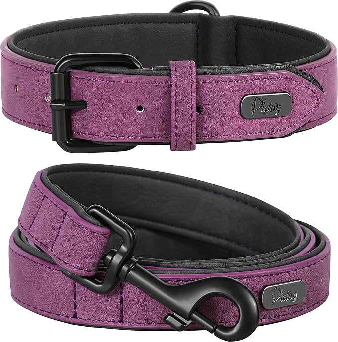 Didog Soft Padded Leather Dog Collar and Leash Set, Heavy Duty Dog Leash and Collar Set with Metal Buckle, Breathable Dog Collars with 4FT Leather Dog Leash for Small Medium Large Dogs, Purple, XL-PawvioPets