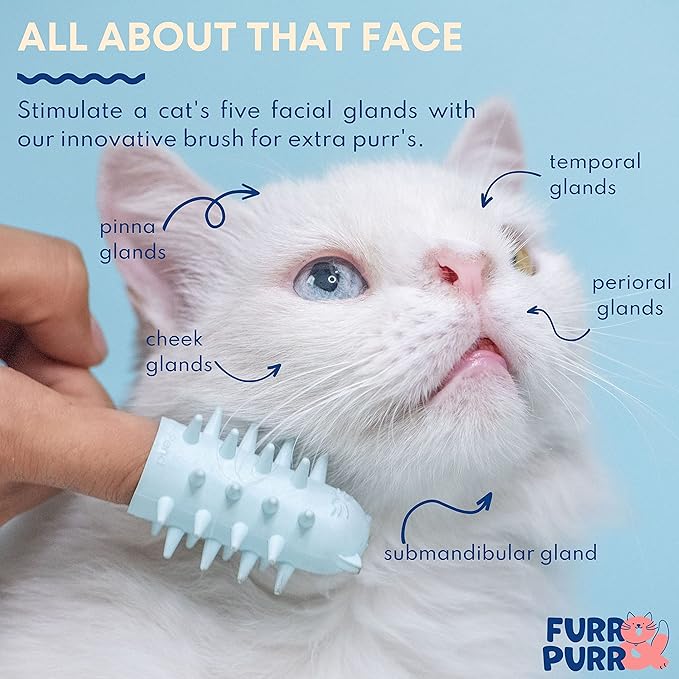 Furr&Purr Cat Brush Set for Indoor Cats - Grooming Tools: Face Scratcher, Calming Massager, and Scratching Pad (2-Pack, Made in the USA)-PawvioPets