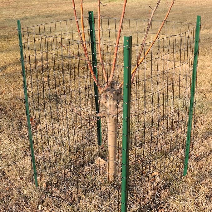 Black PVC Coated Welded Wire Fence 24 Inch x 25 Foot, 2 Inch x 3 Inch 16GA, Garden Border Fencing Roll Vinyl Coating Metal Wire Mesh for Yard Vegetable Plant Protection Poultry Netting-PawvioPets