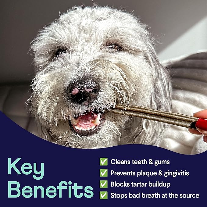 Finn Plaque Patrol Dental Chews | Triple-Action Defense Against Plaque, Tartar, and Bad Breath | for Medium/Large Dogs, 25+ lbs-PawvioPets