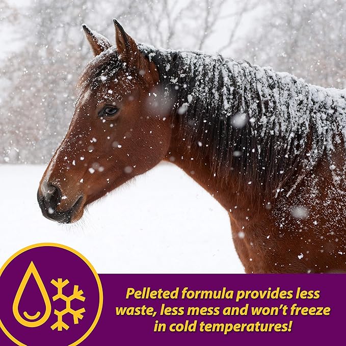 Farnam Horse Health Red Cell Pellets, Vitamin-Iron-Mineral Supplement for Horses, Helps Fill Important Nutritional Gaps in Horse's Diet, 4 lbs., 64-Day Supply-PawvioPets