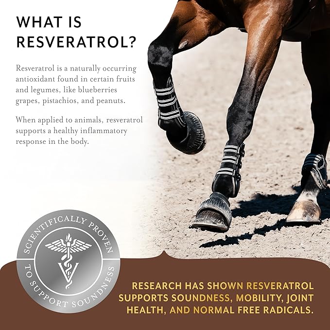 Equithrive Original Joint Supplement Powder with Resveratrol and Hyaluronic Acid for Horses, Equine Care, Molasses Flavor, 8 lbs-PawvioPets
