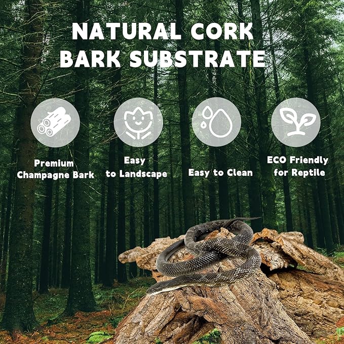 BNOSDM Reptile Terrarium Bark Substrate Bedding Tortoise Natural Cork Bark Reptile Climbing Mat Habitat Decor for Lizard Snake Spiders Hermit Crabs Tarantula Geckos Bearded Dragons (0.7 LB)-PawvioPets