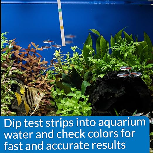 API 5-in-1 Test Strips Freshwater and Saltwater Aquarium Test Strips 25-Count Box-PawvioPets