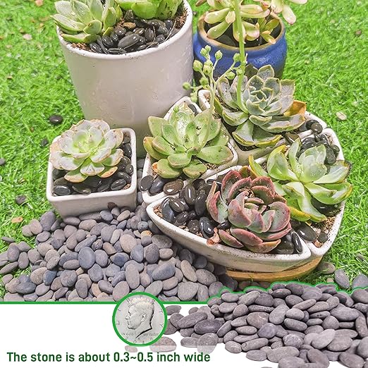 2.4lb River Rocks Pebbles for Plants & Succulents, Decorative Outdoor Landscaping & Aquarium Garden Rocks-PawvioPets
