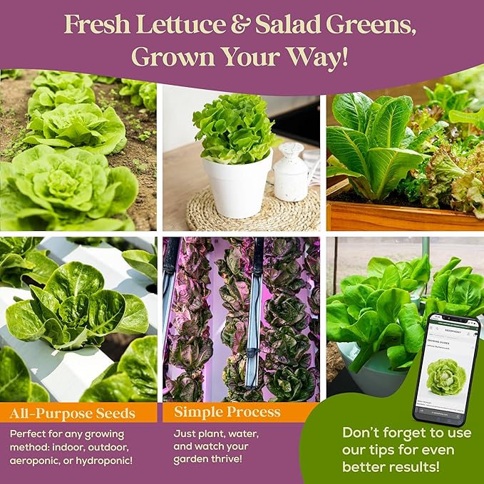 23 Lettuce & Salad Greens Seeds Variety Pack - 25,000+ Non-GMO Heirloom Greens Seeds for Planting Lettuce Indoor & Outdoor: Arugula, Mizuna, Kale, Spinach, Swiss Chard, Mache & More Lettuce Seeds-PawvioPets