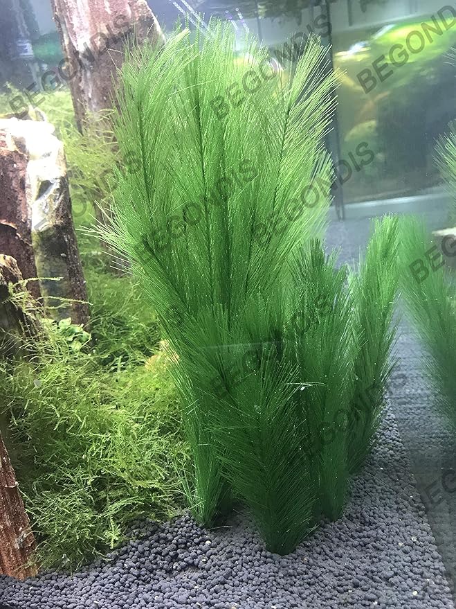 BEGONDIS 3Pcs Aquarium Decorations Fish Tank Artificial Green Water Plants Made of Silk Fabrics Plastic-PawvioPets