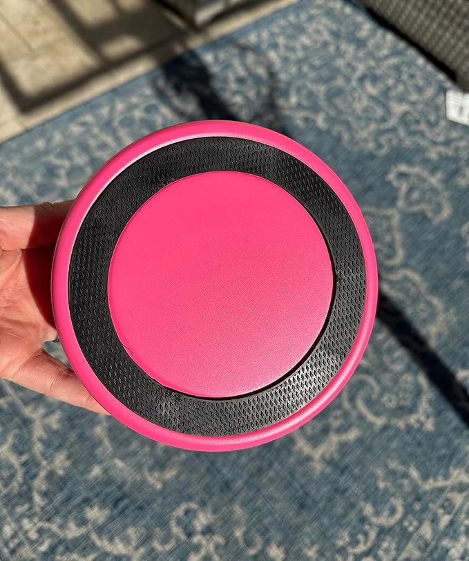 Bright Pink Dog Bowl for Small Dogs, 32 oz Non Slip Stainless Steel Pet Bowl, Vacuum Insulated Pet Bowl That Keeps Water Cool (32 oz, Bright Pink)-PawvioPets