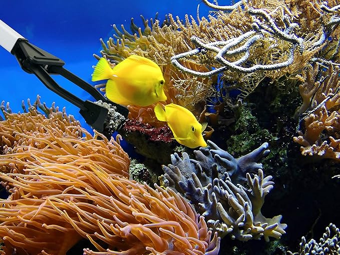 EZPIK 27" Extra Long Tweezers for Aquarium - Grabber Tool for Aquascaping - Aquarium Tongs Extra Long for Grabbing in Deepest Tanks - Saltwater Fish Feeding Tongs - Fish Tank Tweezers for Coral Reef-PawvioPets