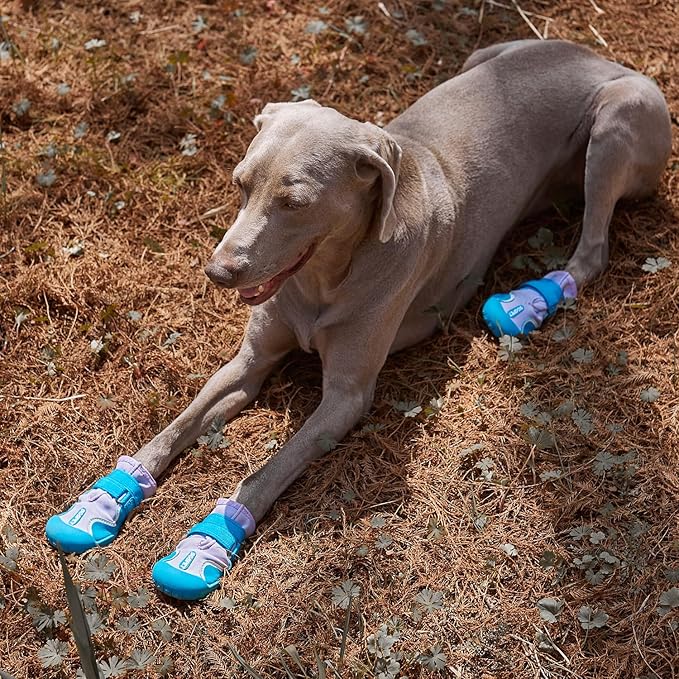 Dog Shoes, Waterproof Dog Boots & Paw Protectors with Anti-Slip Sole, 4pcs/Set Pet Dog Booties, Reflective Dog Shoes for Small Medium Large, Winter Snowy Summer Hot Pavement (Blue, 5# (M))-PawvioPets