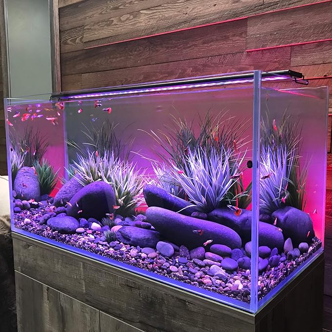 CURRENT USA 24-36" Inch Serene Aquarium Visual and Audio Aquatic Experience Kit with LED Aquarium Light, LED Background Light, Frosted Background Film & Speaker for Fish Tank (4025)-PawvioPets