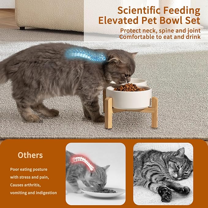 Elevated Ceramic Dog Bowl Set - Raised Feeding Bowls with Non-Slip Bamboo Stand - Small Pet Dishes for Food and Water - Ideal for Cats and Puppies - 16.23 OZ - 2 Cups - 480 ML-PawvioPets