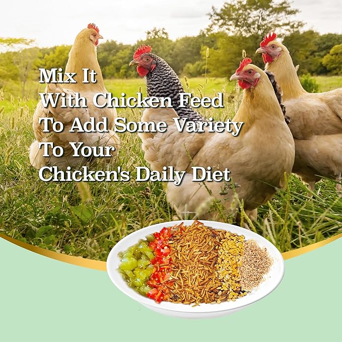 2LB Dried Black Soldier Fly Larvae, More Calcium Than Dried Mealworms, High Protein Chicken Feed, Poultry Treat, Chicken Scratch-PawvioPets