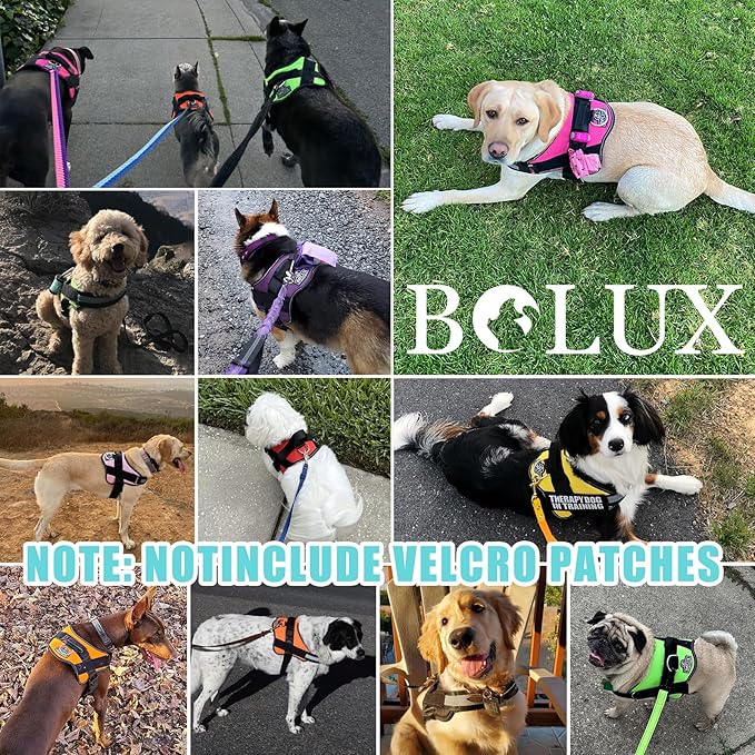 Bolux Dog Harness, No-Pull Reflective Dog Vest, Breathable Adjustable Pet Harness with Handle for Outdoor Walking - No More Pulling, Tugging or Choking-PawvioPets
