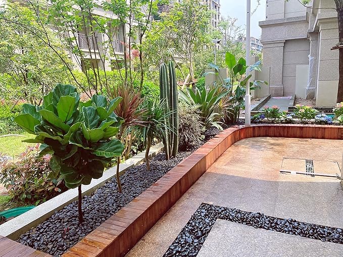 5 lbs Natural Polished Black River Rocks, 1-2 inch Decorative Pebbles for Indoor Plants. Black Stones for Planters, Vase, Garden Landscape Rocks and Outdoor Decorative Stones-PawvioPets