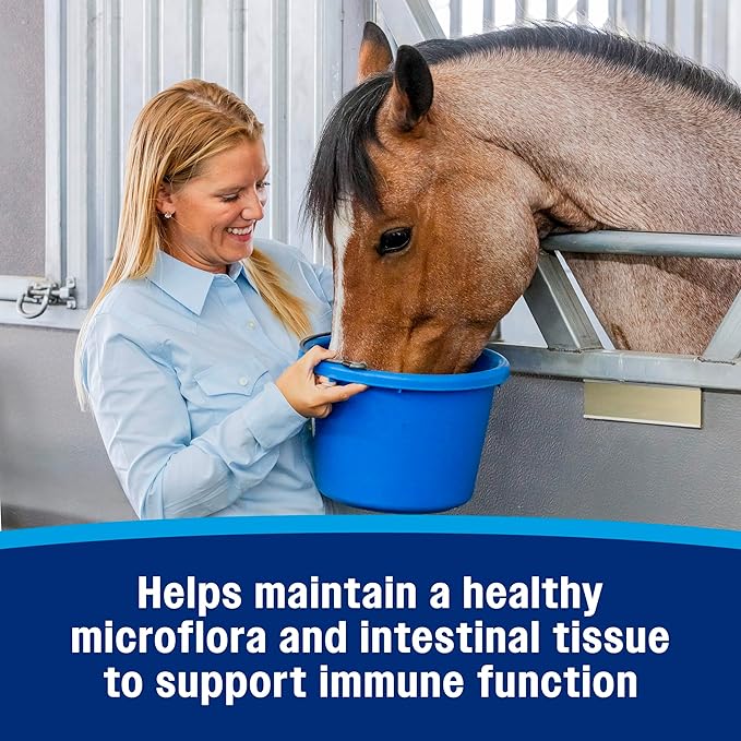 Farnam Hindgut Stabilizer Pellets, Daily Digestive & Immune Supplement for Horses Helps Maintain a Balanced Microbiome for Optimal Digestion-PawvioPets