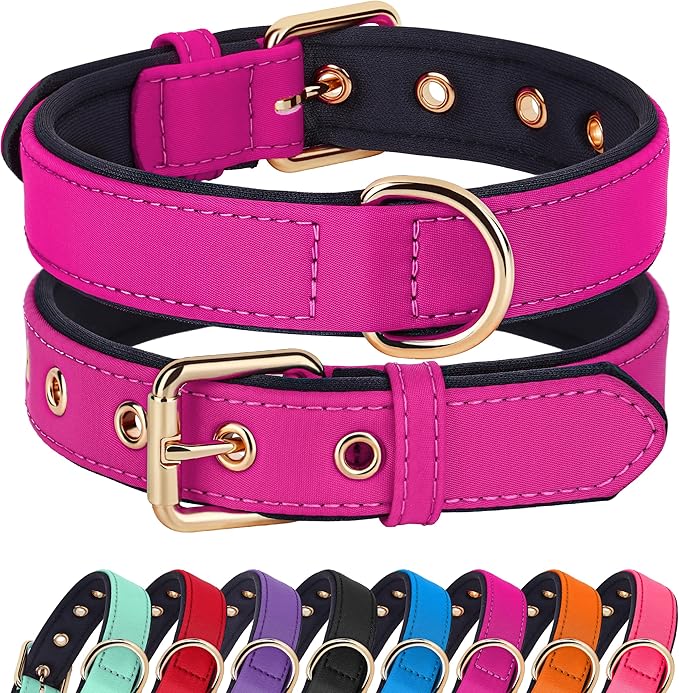 Didog Soft Padded Dog Collars for Small Dogs, Lightweight and Breathable Dog Collar with Metal Buckle, Rose Purple, M-PawvioPets
