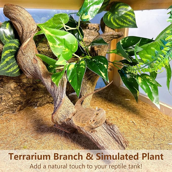 BNOSDM 2Pcs Reptile Climbing Branches Decor,Snake Climbing Branch,Gecko Climb Wood,Lizard Forest Branch,Tank Habitat Tree Trunk Decorations for Bearded Dragons,Chameleons,Spider,Frogs (L)-PawvioPets