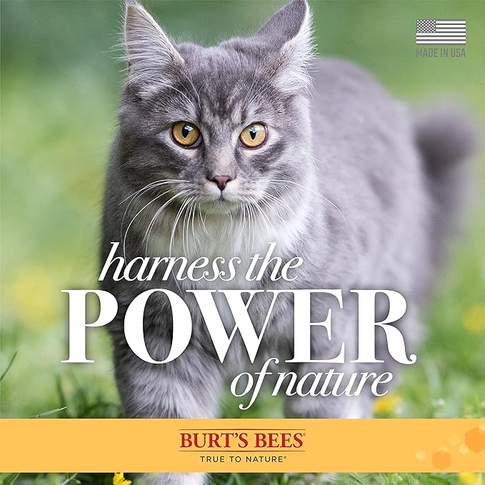 Burt's Bees for Pets Waterless Cat Grooming Spray with Shea Butter and Honey, 99.3% Natural Origin Formulas, Dry Shampoo, Kitten Supplies, 10oz-PawvioPets