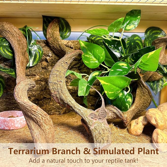 BNOSDM 3Pcs Reptile Climbing Branches Decor,Snake Climbing Branch,Gecko Climb Wood,Lizard Forest Branch,Tank Habitat Tree Trunk Decorations for Bearded Dragons,Chameleons,Spider,Frogs (M)-PawvioPets