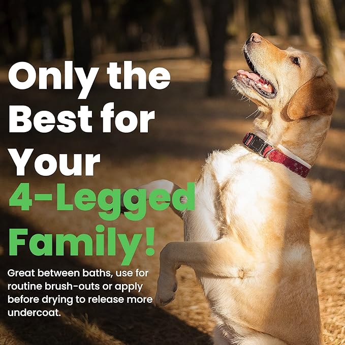 Best Shot Ultra Vitalizing Mist Detangler, 16 oz-PawvioPets