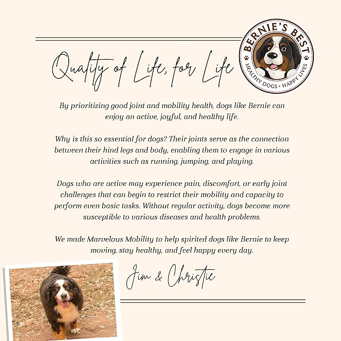 Bernie's Marvelous Mobility - Daily Total Joint Support for Dogs - 90 Soft Chews - Maintain & Rebuild Mobility, Supports Joint Tissue Health-PawvioPets