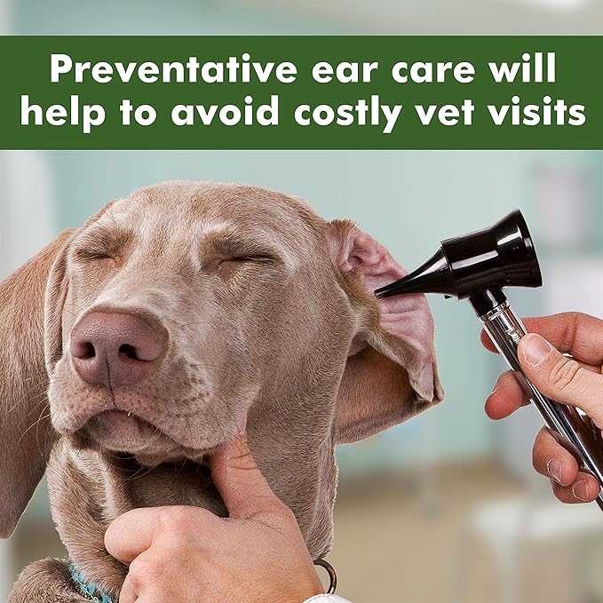 Arava Ear Cleaner Wipes for Dogs Cats Puppies Kittens - 100 Count - Natural Medicated Cleansing Deodorizer - Removes Dirt Wax - Pet Wipes for Cat Ear Cleaning, Dog Ear Cleaner-PawvioPets