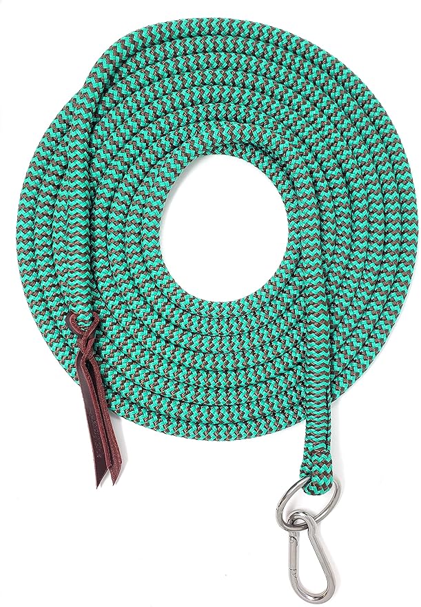 22' Long Line with SS O Ring and Carabiner (Turquoise Brown)-PawvioPets