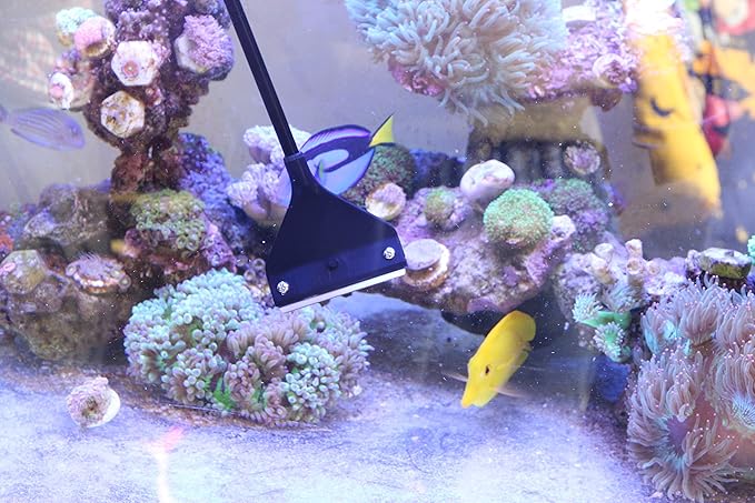 Aquarium Algae Scraper Cleaner Brush with 10 Stainless Steel Blades for Fish Reef Plant Glass Tank 26 Inch-PawvioPets