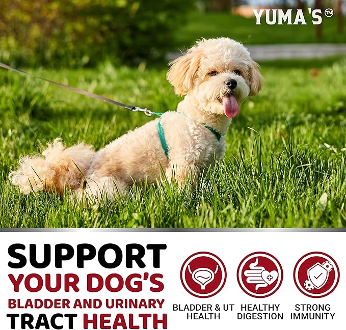 Dog UTI Treatment - 170 Treats - Cranberry Supplement for Dogs - Bladder Control - Urinary Tract Infection Treatment - UTI Medicine Multivitamin - Vitamins and Supplements - Made in USA-PawvioPets