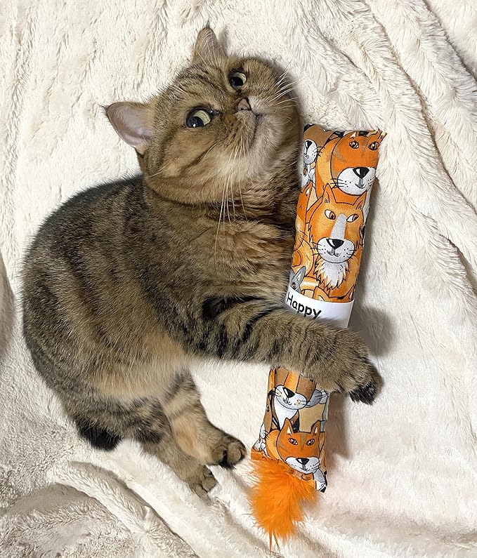 2 Pack Natural Interactive Catnip Cat Kicker with Feathers, Bite Resistant Chew Toy, Crinkle Kicker, Accessories for Indoor Cat-PawvioPets